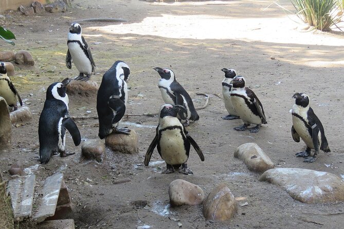 Skip the Line: World of Birds Admission Ticket - How long to spend and when to arrive