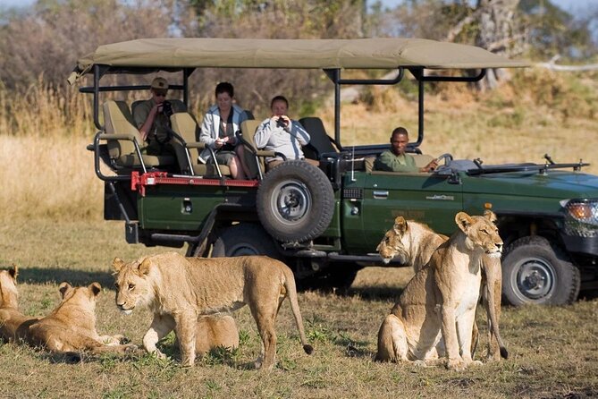 Small Group 3 Day Garden Route Adventure from Cape Town - Key things to know before booking