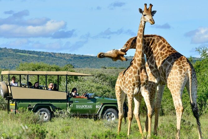 Small Group 3 Day Garden Route Adventure from Cape Town - Benguela Cove wine tasting