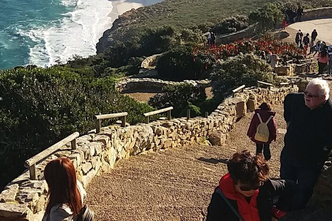 Small Group Cape Of Good Hope Penguins Wine Tasting Inc Park Fees - Cape Point rewards the short walk uphill