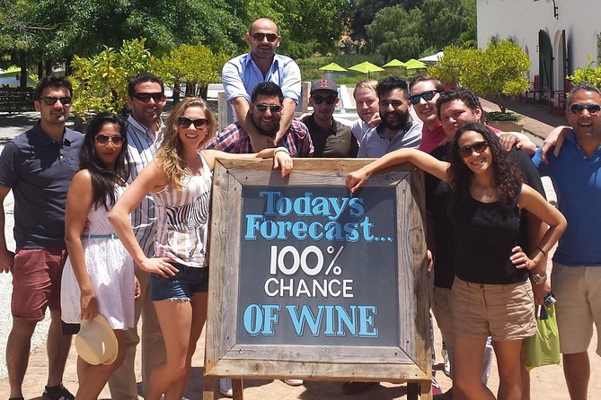 Small Group Daily Wine Tour - Meeting at 9:45 a.m. in Stellenbosch