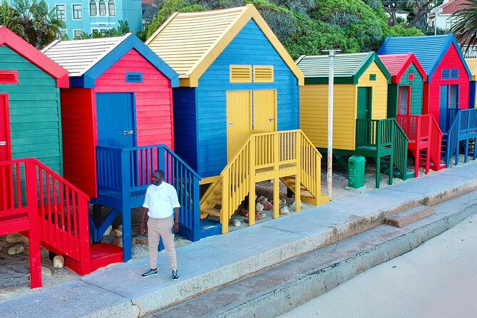 Small Group Table Mountain Penguin Colony and Cape Point Tour - Boulders Beach brings you close to African penguins