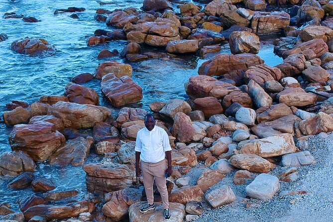 Small Group Table Mountain Penguin Colony and Cape Point Tour - Cape of Good Hope takes up the afternoon