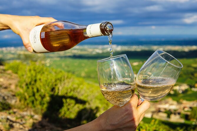 Small Group tour to Stellenbosch with wine tasting - DeMorgenzon: music, views, and award-winning Chardonnay