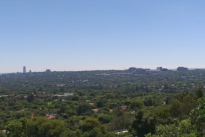 Soweto and Johannesburg Exclusive Full Day Guided Tour - Vilakazi Street and the homes of two national figures
