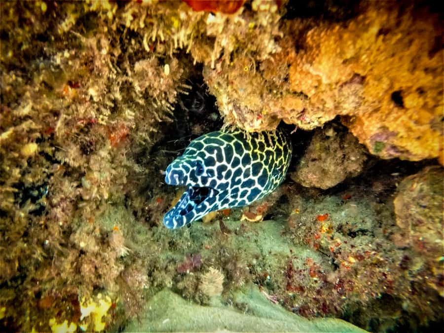 St. Lucia: Cape Vidal Snorkeling Adventure - Driving from St. Lucia through iSimangaliso
