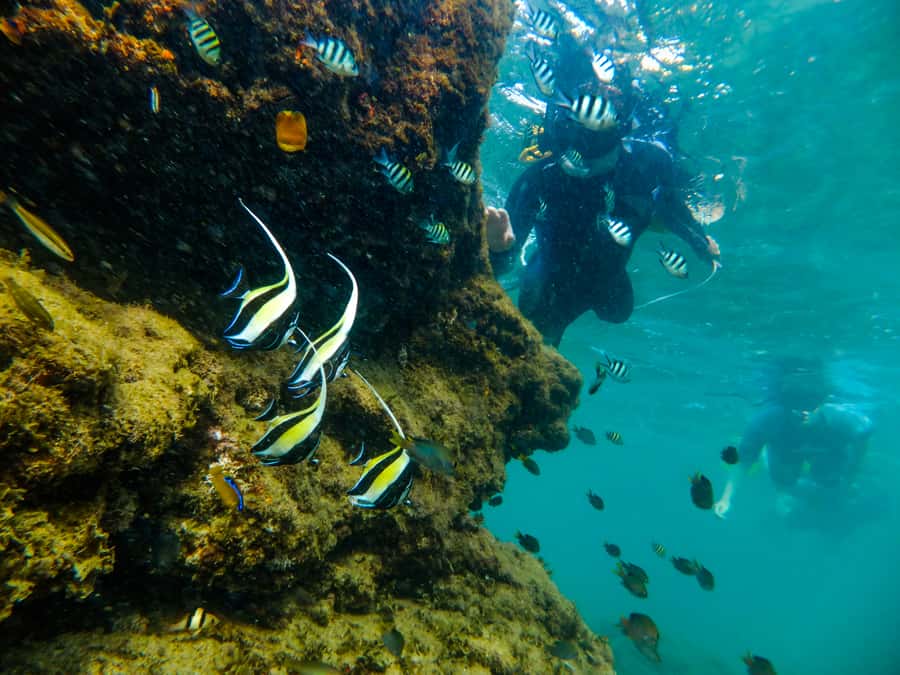 St. Lucia: Cape Vidal Snorkeling Adventure - Beach briefing and getting fitted out