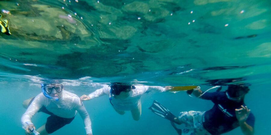 St. Lucia: Cape Vidal Snorkeling Adventure - One to 1.5 hours among Cape Vidal’s fish