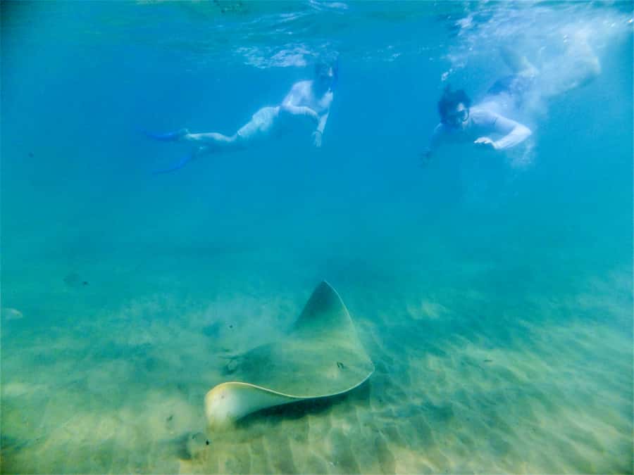 St. Lucia: Cape Vidal Snorkeling Adventure - Warming up with tea, coffee, or cocoa