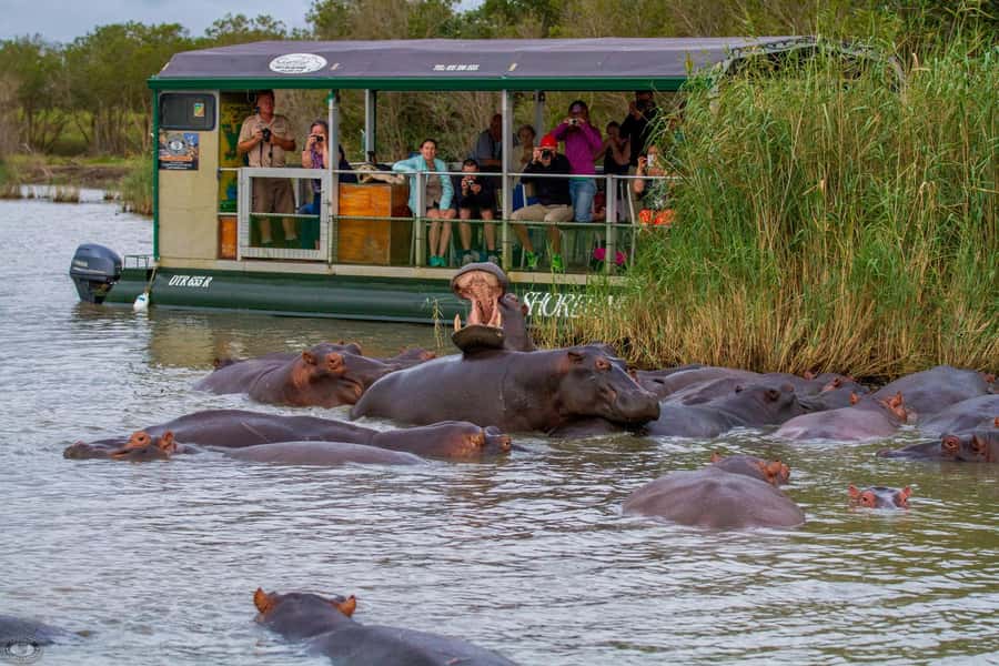 St Lucia: Hippo and Crocodile Cruise on a 15-Seat Vessel - Why the St Lucia Estuary matters