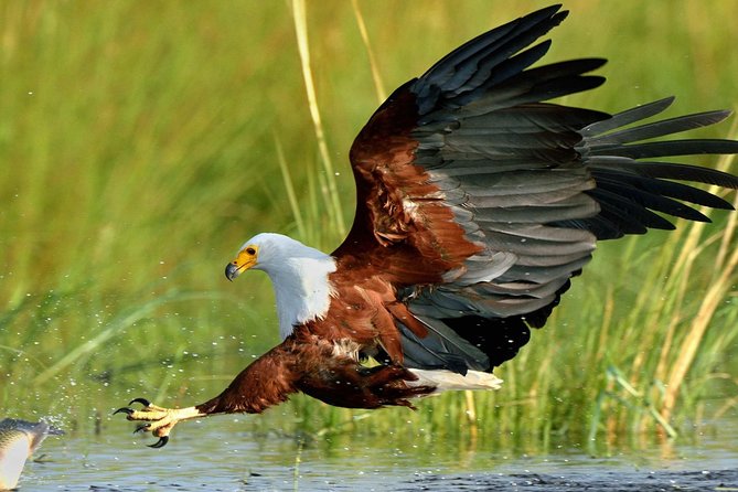 St Lucia Isimangaliso Boat Safari Day Tour from Durban - Boarding the two-hour St Lucia estuary cruise