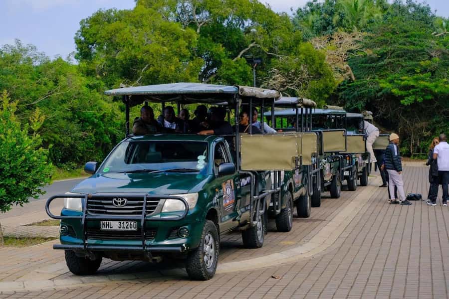 St Lucia: iSimangaliso Wetland Park: Full-Day/Half-Day Tour - Why this St Lucia safari is different