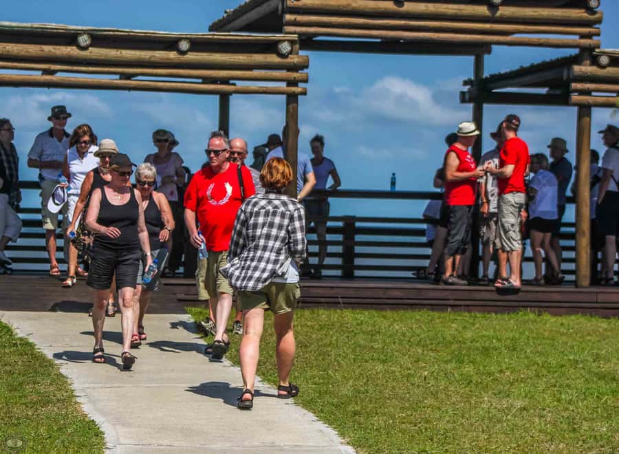 St Lucia: iSimangaliso Wetland Park: Full-Day/Half-Day Tour - Wildlife spotting in iSimangaliso Wetland Park