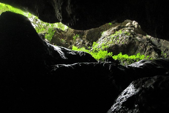 Standard Canyoning Trip in The Crags, South Africa - Your first major choice: cliff jump or rappel