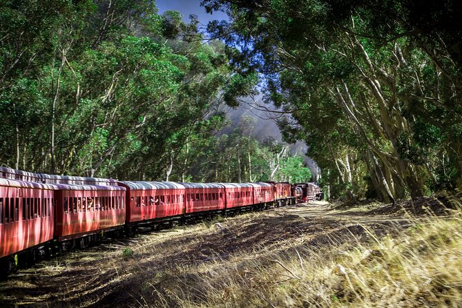 Steam Train to Elgin Railway Market - Is the $51.70 fare good value?