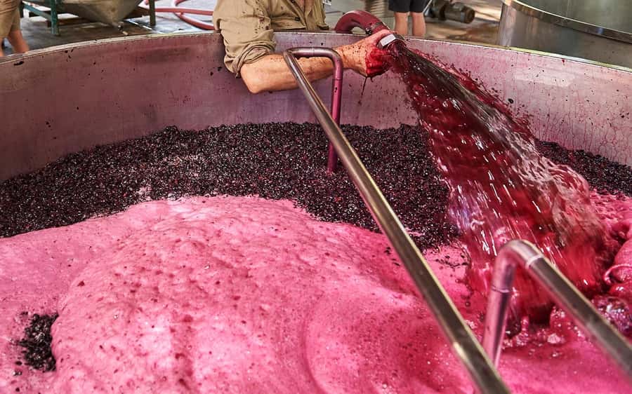 Stellenbosch: All-inclusive Private Wine Tour & Tastings - Is $158 a fair price?