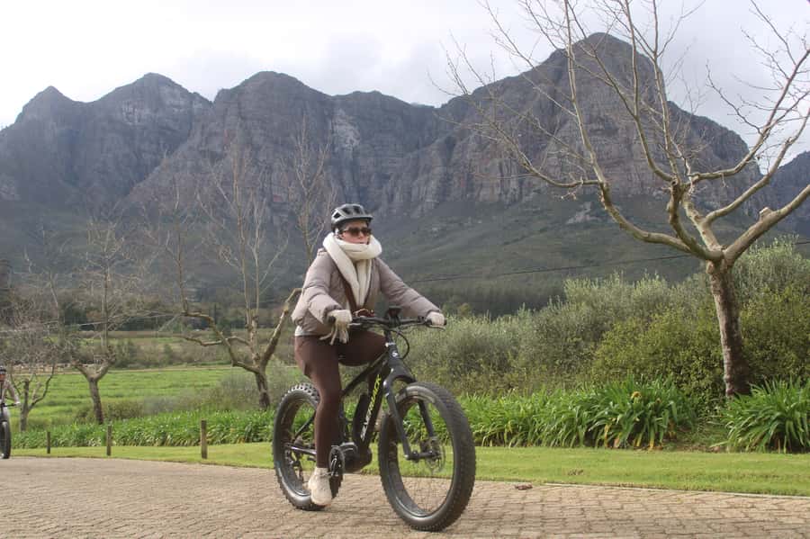 Stellenbosch: Countryside Banhoek valley E-Bike Wine Tour - E-bike quality and comfort