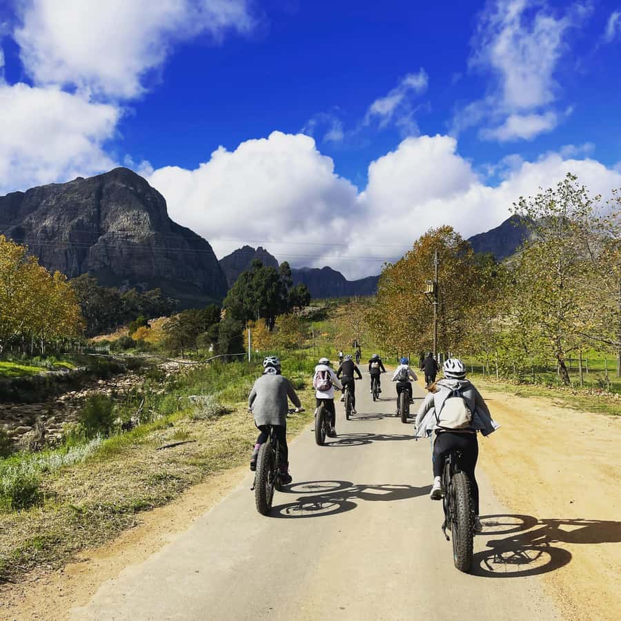 Stellenbosch: Countryside Banhoek valley E-Bike Wine Tour - Starting at Banhoek Chilli Oil Company