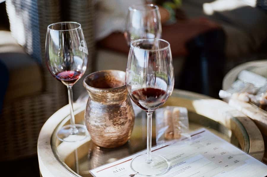 Stellenbosch: Daily Diffirent small group full day wine tour - Key points to know before booking