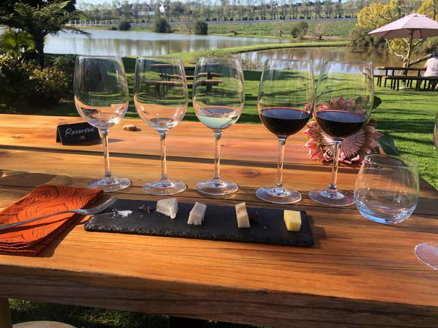 Stellenbosch: Daily Diffirent small group full day wine tour - L’Avenir for wine and cheese