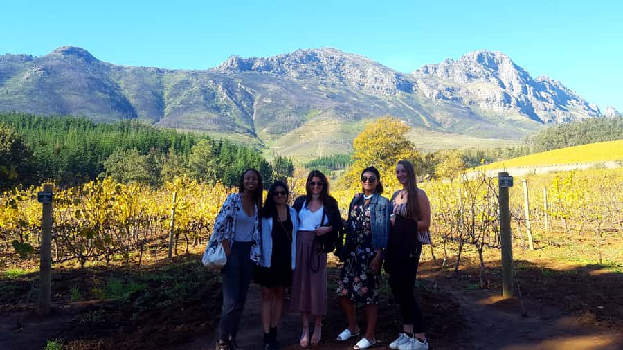 Stellenbosch: Eastern Route Hop-On Hop-Off Wine Tour - Key details before you book
