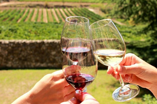 Stellenbosch, Franschhoek and Paarl: Full Day Wine Tour - Key details at a glance