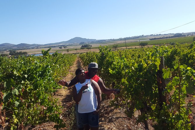 Stellenbosch Franschhoek Full-Day Tour with Cheese Tasting - Why this Cape Town wine tour works