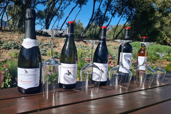 Stellenbosch & Franschhoek Wine Tasting Private Tour incl. Lunch - Who will enjoy this wine tour most?