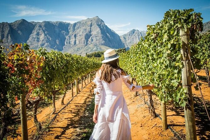 Stellenbosch & Franschhoek Wine Tasting Private Tour incl. Lunch - Klein Goederust and the short move into Franschhoek