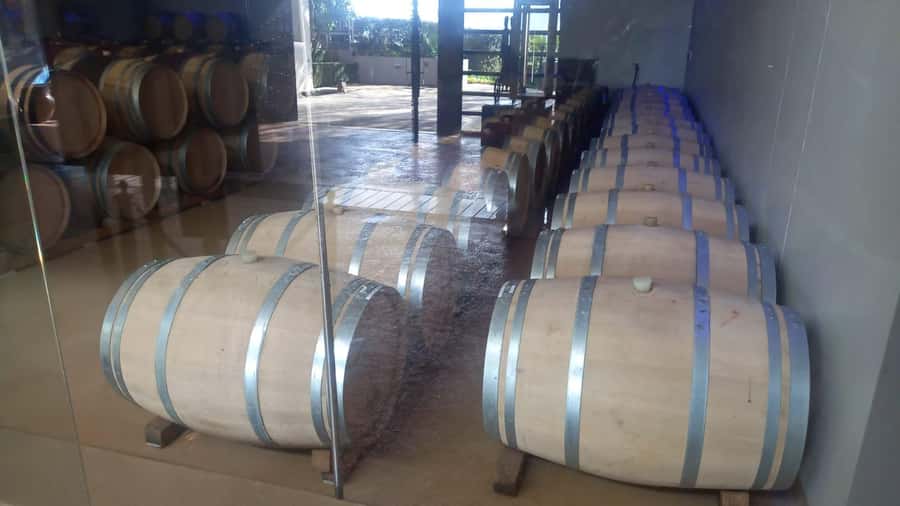 Stellenbosch, Franshoek ,Paarl Region (20 wine tastings) - Fairview Finishes With Wine and Cheese