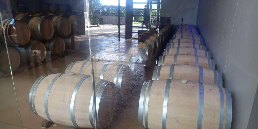 Stellenbosch, Franshoek ,Paarl Region (20 wine tastings) - The Guides Can Shape the Whole Day