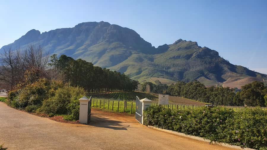 Stellenbosch: Guided Vineyard Hike and Wine Tasting - Starting in Stellenbosch and heading for Banhoek Valley