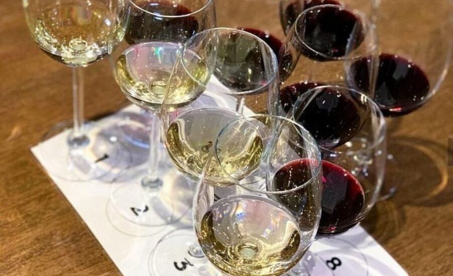 Stellenbosch: Half-Day Wine Tour - Final verdict: a smart first taste of the Cape Winelands