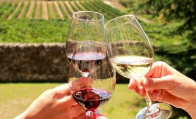 Half-Day Wine Tour