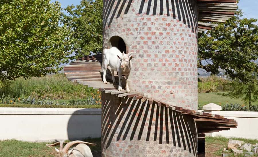 Stellenbosch: Half-Day Wine Tour - What the guides add between the tastings