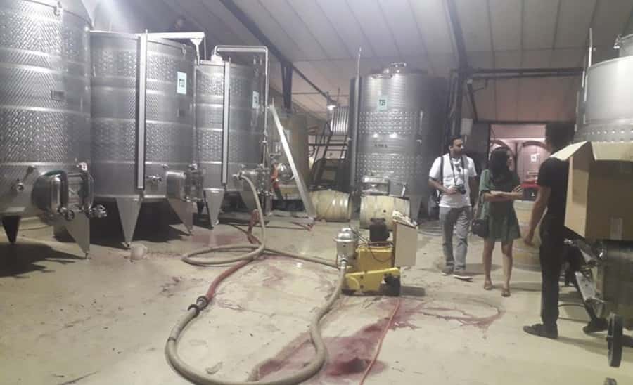 Stellenbosch: Half-Day Wine Tour - Morning or afternoon: choosing the better departure