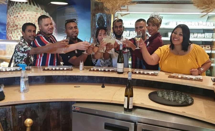 Stellenbosch: Half-Day Wine Tour - Who should book this Stellenbosch tour?