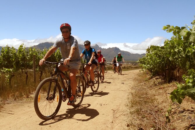 Stellenbosch Half Day Winelands Mountain Bike Tour - Why this Stellenbosch ride is worth considering