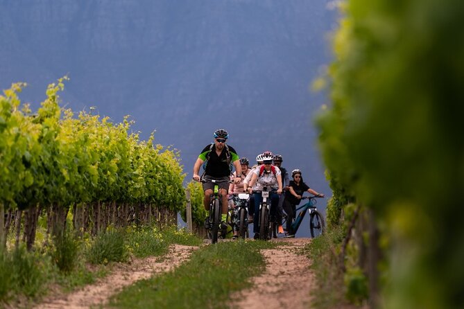 Stellenbosch Half Day Winelands Mountain Bike Tour - Riding through the Cape Winelands