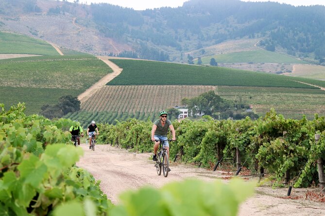 Stellenbosch Half Day Winelands Mountain Bike Tour - Neethlingshof and its Cape Dutch entrance