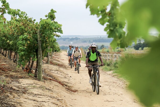 Stellenbosch Half Day Winelands Mountain Bike Tour - Price, group size, and overall value