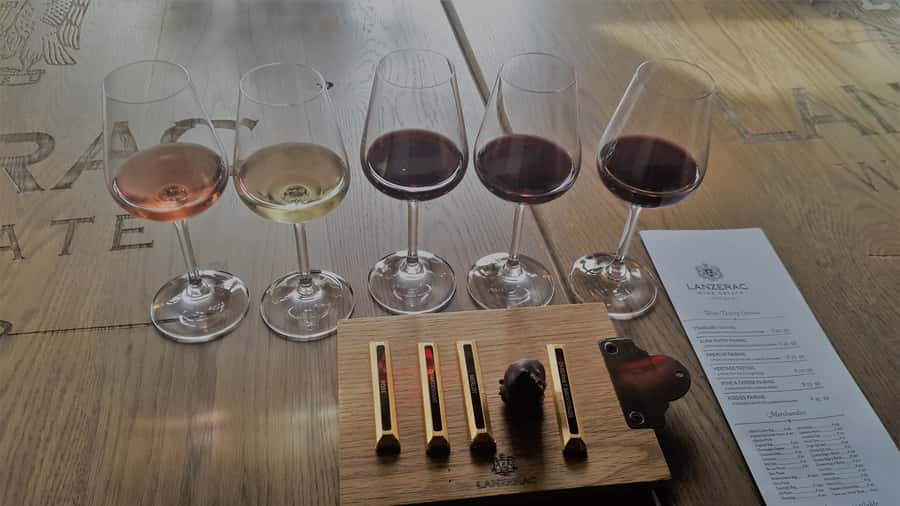 Stellenbosch: Historical Bike Tour & Wine Tasting - The first wine estate and its mountain setting