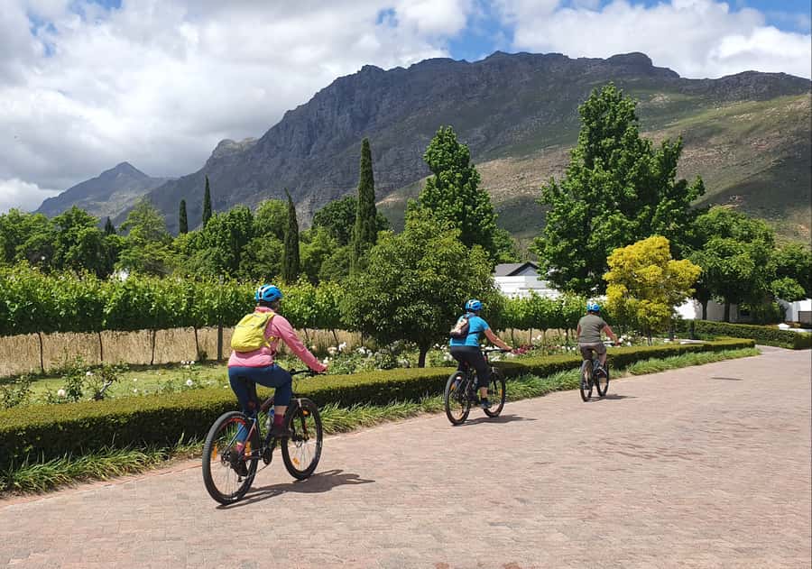 Stellenbosch: Historical Bike Tour & Wine Tasting - Is $92 good value?