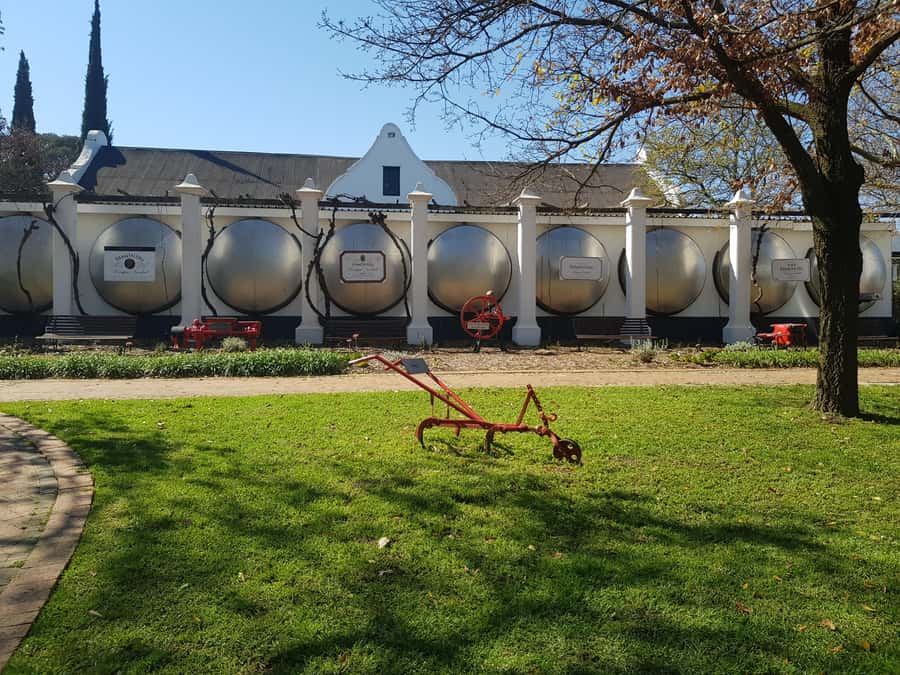 Stellenbosch: Hop-On Hop-Off Northern Route Wine Tour - Warwick, Beyerskloof, and Morgenhof
