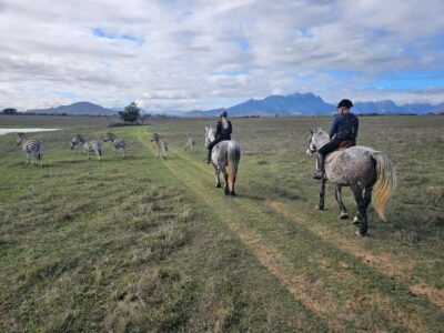 Horse Riding Wildlife Safari