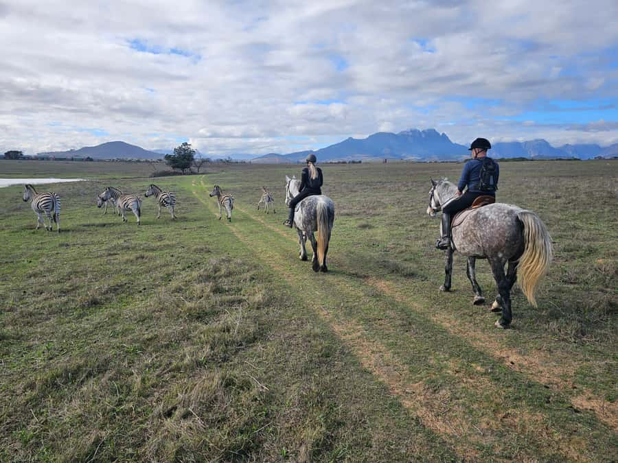 Stellenbosch: Horse Riding Wildlife Safari - Matching you with a calm horse