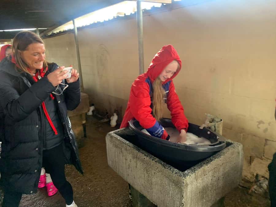Stellenbosch: Khayamandi Township Walking Tour - Key points to know before you book