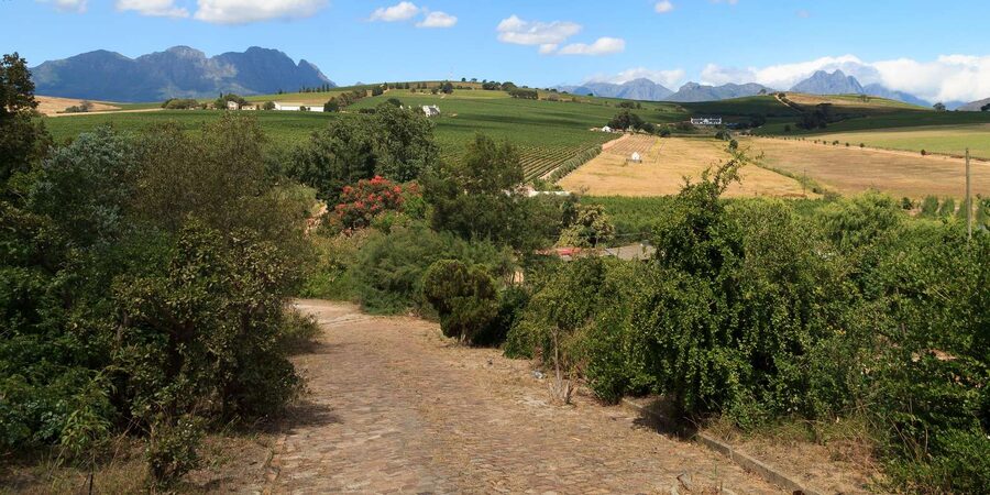 Stellenbosch North Guided Wine Safari (Tastings Excluded) - The scenery between the estates
