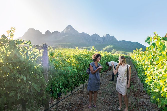 Stellenbosch, Paarl & Franschhoek Private Full Day Wine Tour - Fairview finishes with wine and cheese