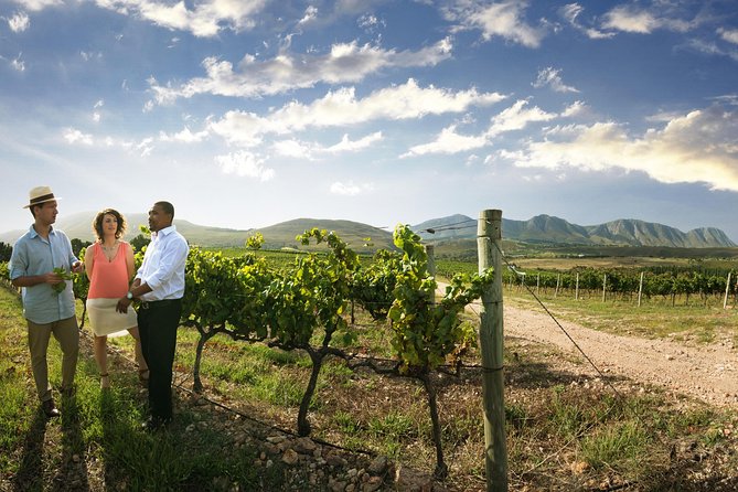 Stellenbosch, Paarl & Franschhoek Private Full Day Wine Tour - A guide can make or break the day